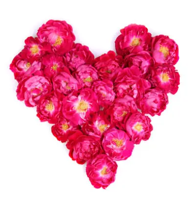 Andachtsbild von 💖¸.•*✬*.¸ৎ୭¸.•*✬*.¸💖