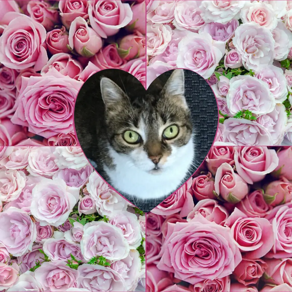 Andachtsbild von Corinna 💜