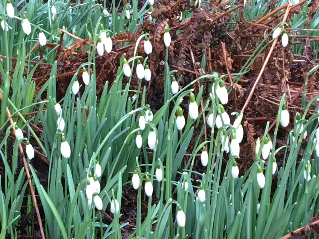 Andachtsbild von 🌼Himmlische 💖Frühlingsgrüße🌼