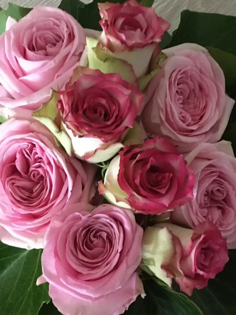 Condolence image of 🌹🌹