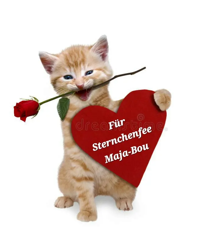 Andachtsbild von Himmelsgrüße💌 zum 82. Monatsgedenken🌈🐈‍⬛