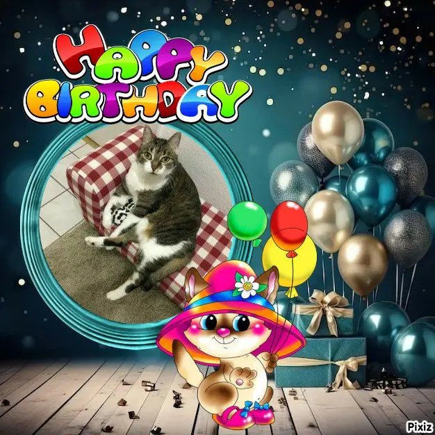 Condolence image of Tanja mit Timmy im 💖🐈🐾