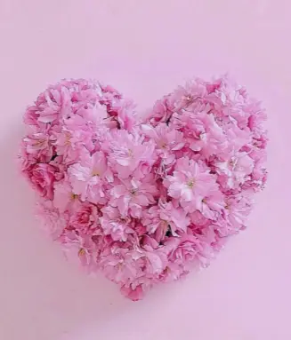 Condolence image of 🌺.·:*✫*:·.🌺Für Bou 💗zum Gedenken - 83 Monate🌺.·:*✫*:·.🌺