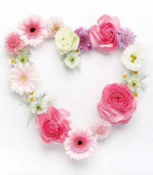 Condolence image of 🌺.·:*✫Für Bou 💗zum Gedenken - 85 Monate✫*:·.🌺