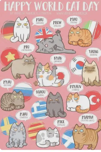 Condolence image of .·:*✫*:·.😻.·:*✫*:·.😽Zum Weltkatzentag🐱.·:*✫*:·.😻.·:*✫*:·.