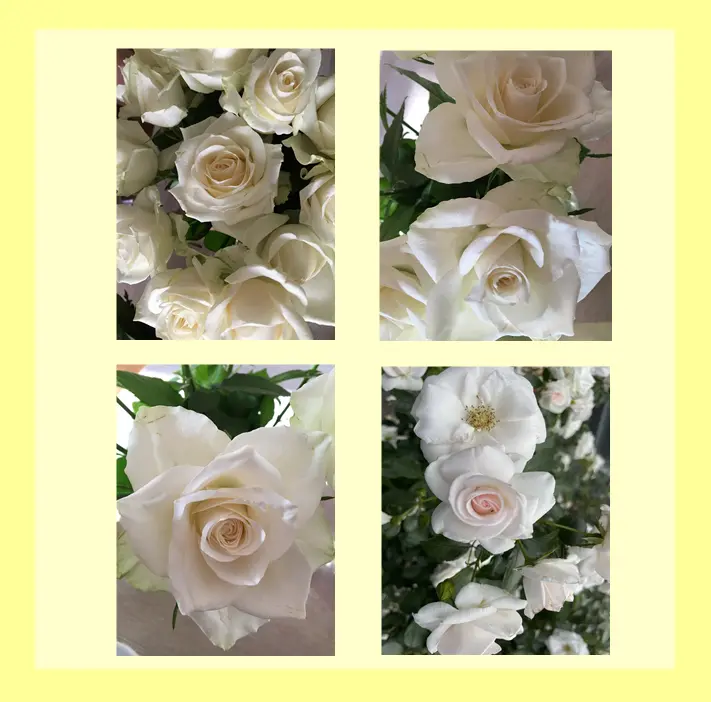 Condolence image of 💛A&S💛