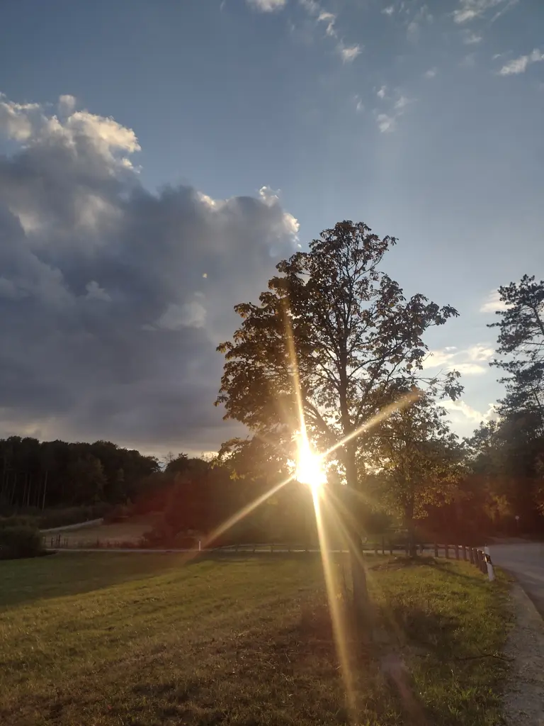 Condolence image of Corinna ❤️