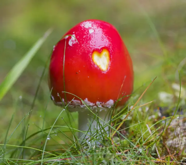 Condolence image of ❤️Herbstgrüße A&S❤️