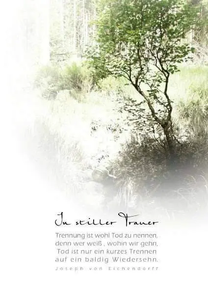 Condolence image of Birgit