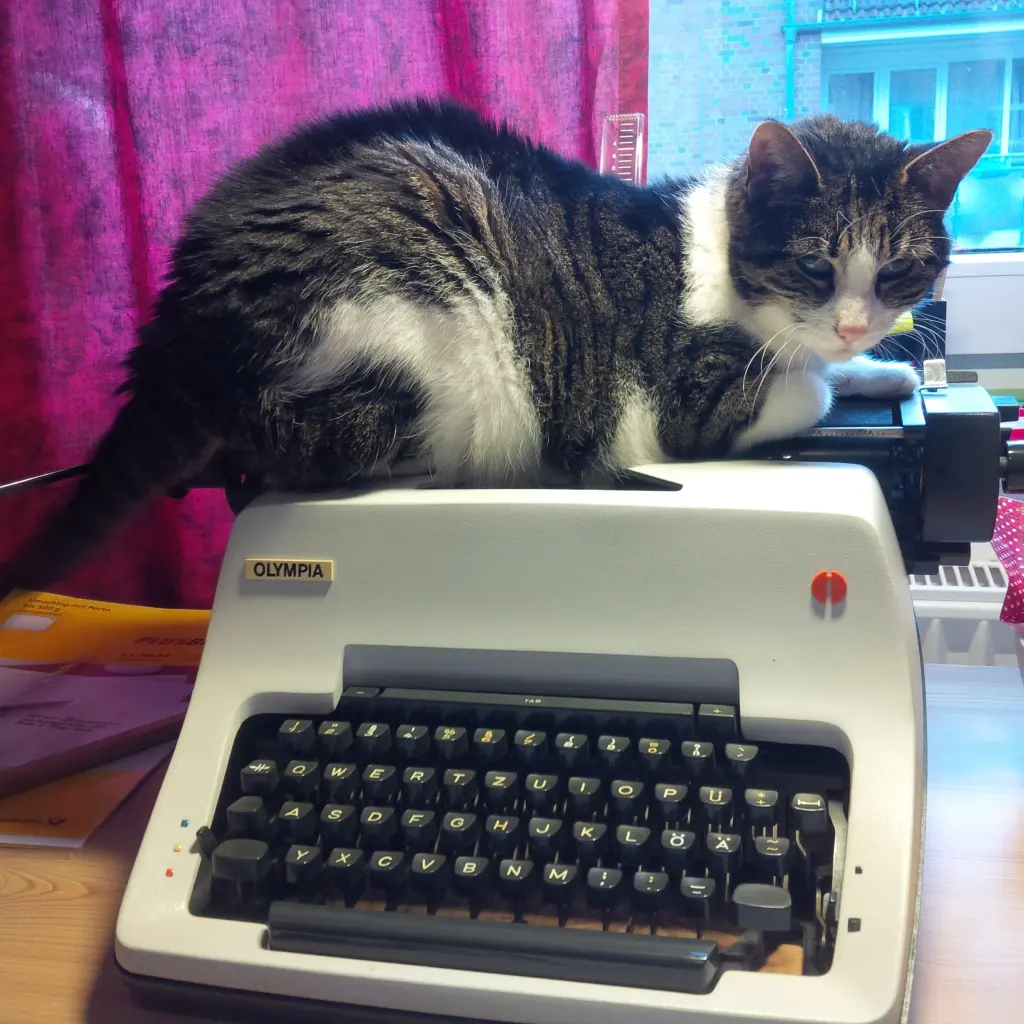 Image from Tiger