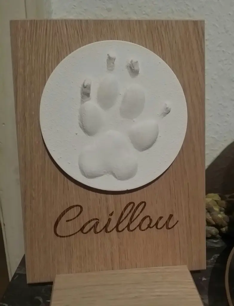 Image from Caillou