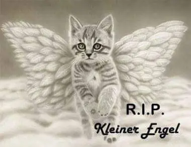 Condolence image of Birgit