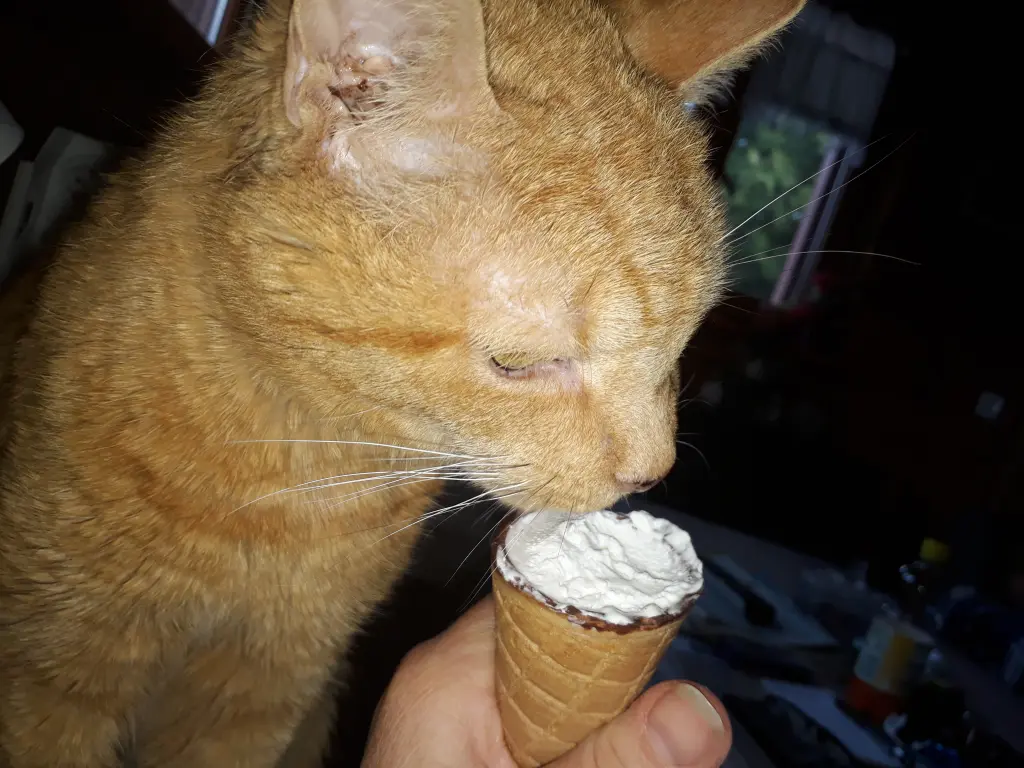 Image from Garfield