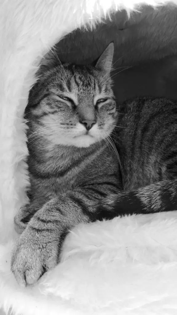 Condolence image of Stefanie