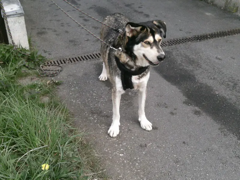 Bild von Teo