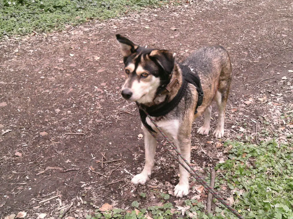 Bild von Teo
