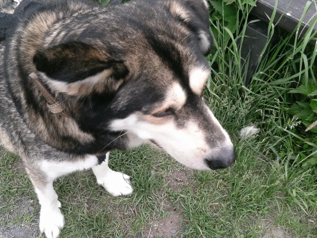 Bild von Teo