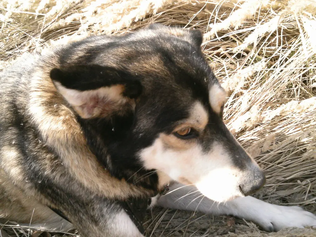 Bild von Teo