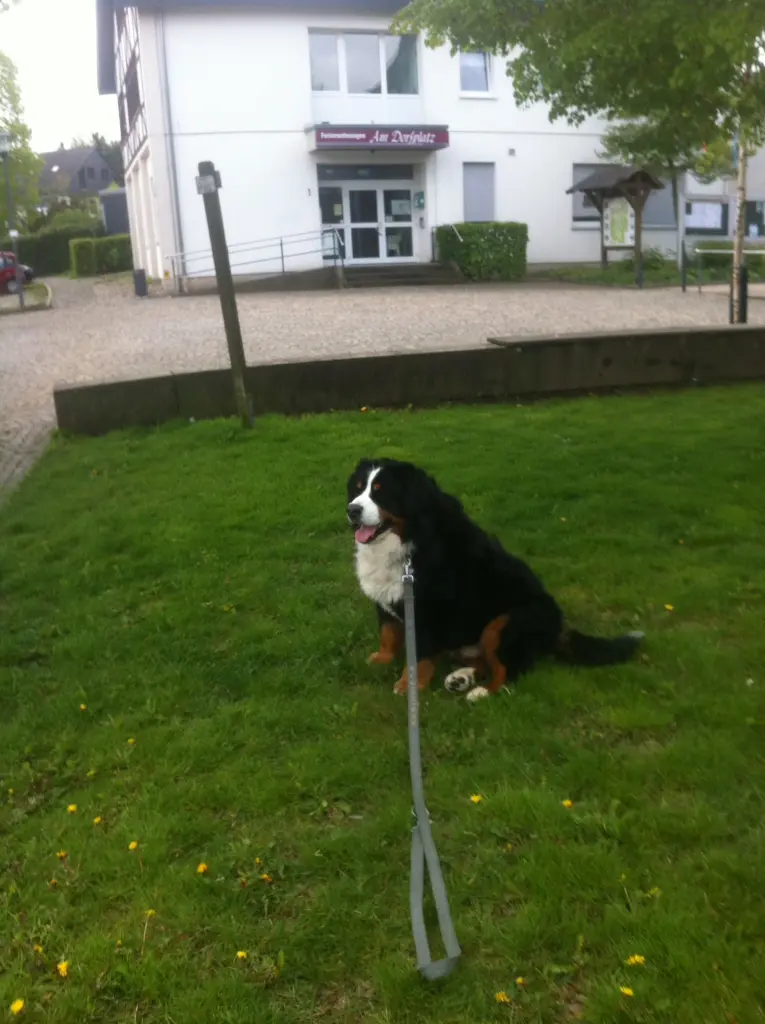 Condolence image of Frauke