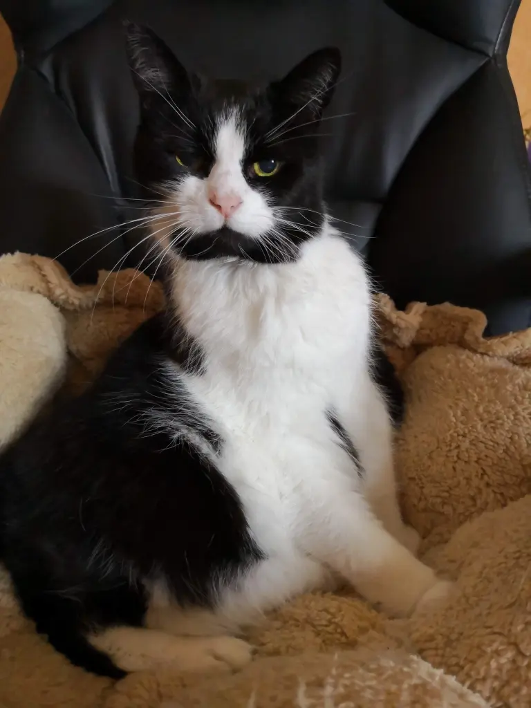 Andachtsbild von Astrid