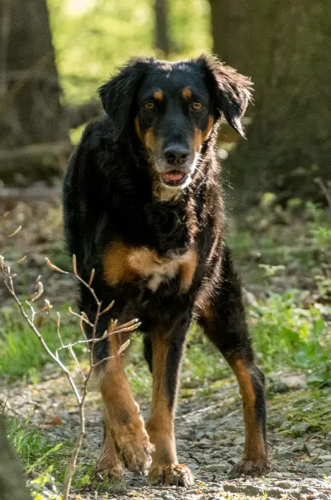 Image from Hope
