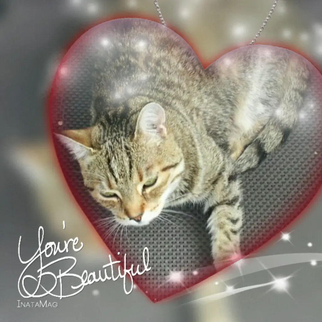 Condolence image of Carola