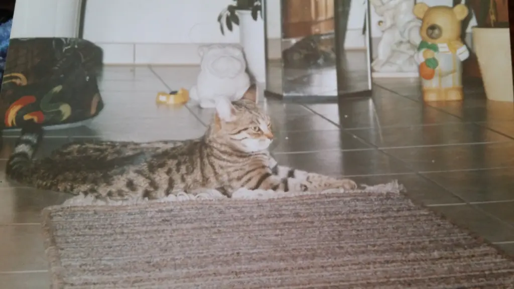 Condolence image of Carola
