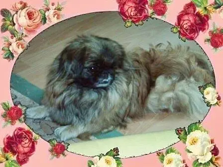 Andachtsbild von Annette