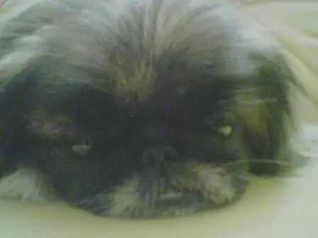 Andachtsbild von Annette