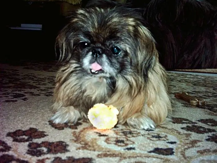 Andachtsbild von Doreen