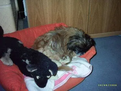 Andachtsbild von Annette