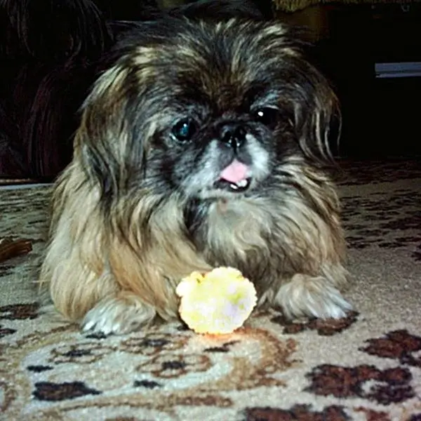 Andachtsbild von Annette