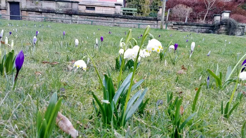 Andachtsbild von Annette