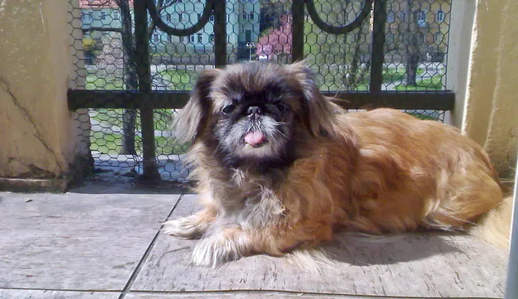 Andachtsbild von Annette + Doreen