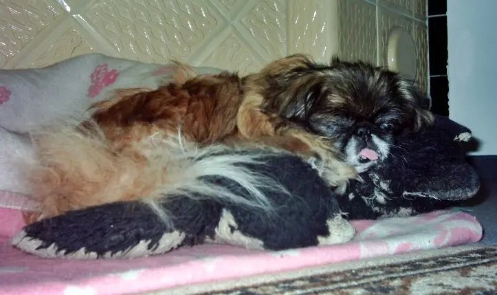 Andachtsbild von Annett und Doreen