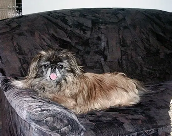 Andachtsbild von Annett und Doreen