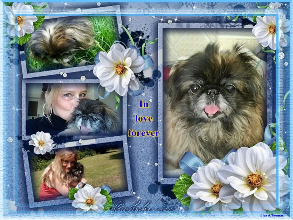 Andachtsbild von Annette