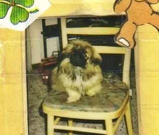 Andachtsbild von Annette