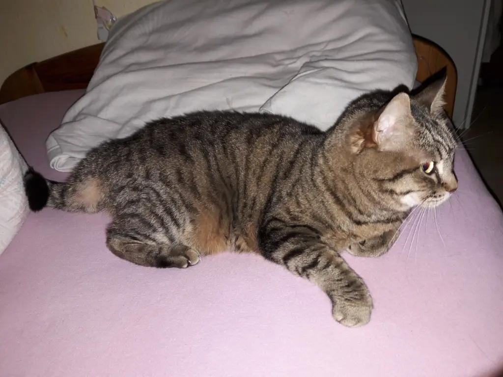 Condolence image of Evi 
