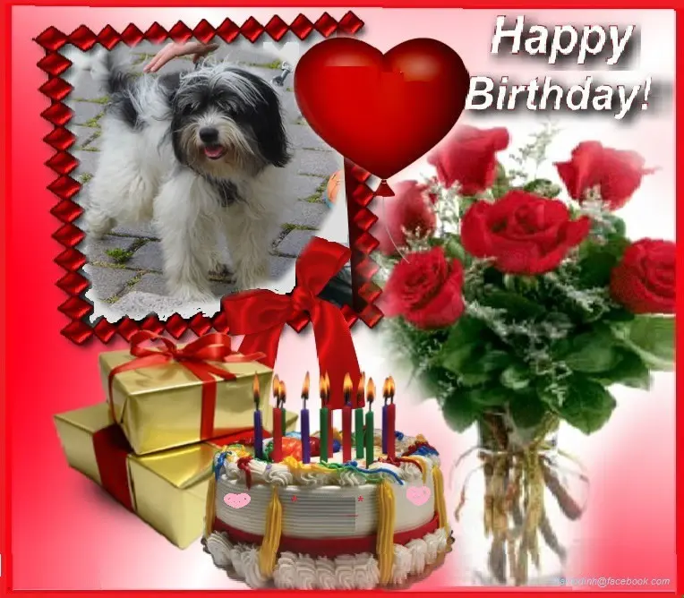 Condolence image of ❤️❤️❤️17.Geburtstag❤️❤️❤️