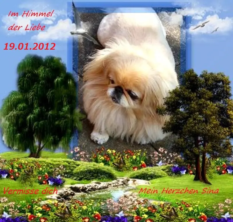 Image from ENGELCHEN ,,SINA,,