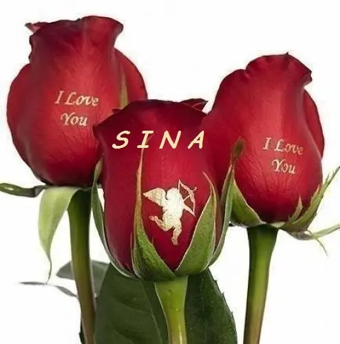 Image from ENGELCHEN ,,SINA,,