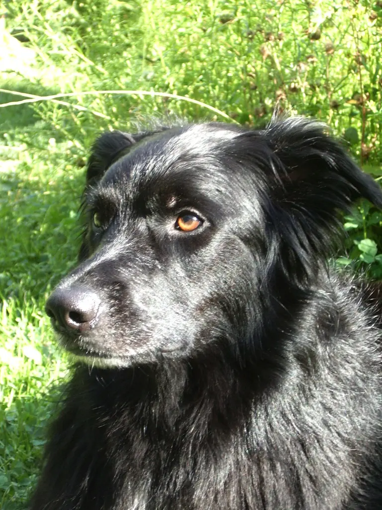 Image from Ellie