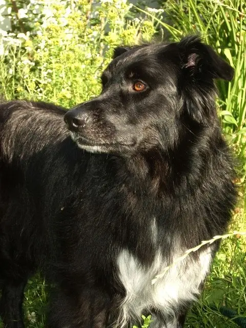 Image from Ellie