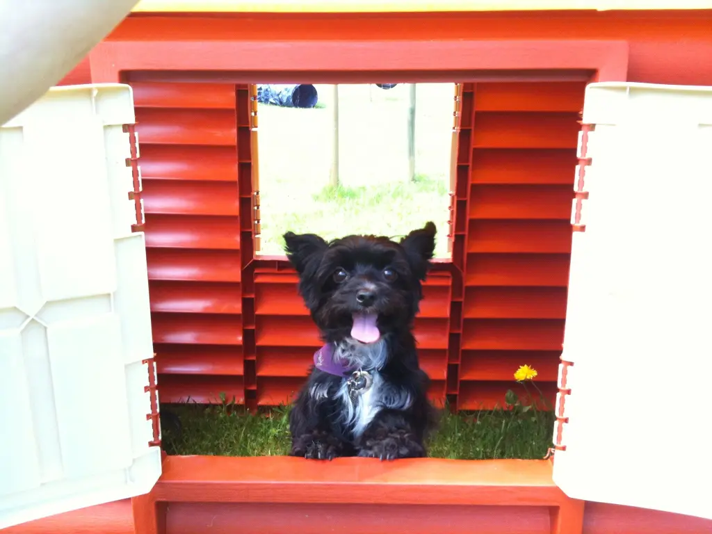 Bild von Honey