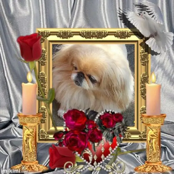 Image from Sina mein Herzblut