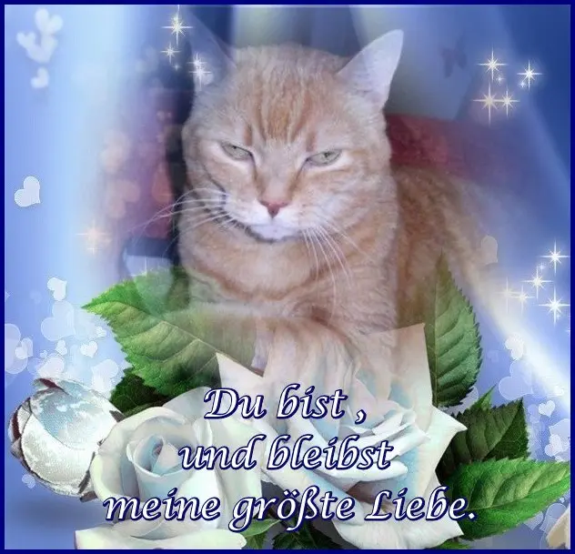 Condolence image of Angelika