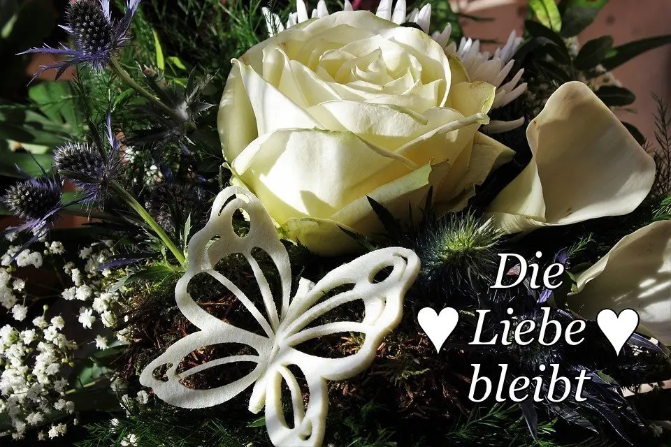 Condolence image of Angelika