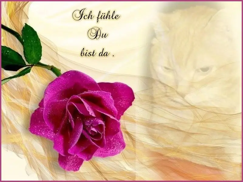 Condolence image of Samson`s Mama...die ich immer bin und bleibe.