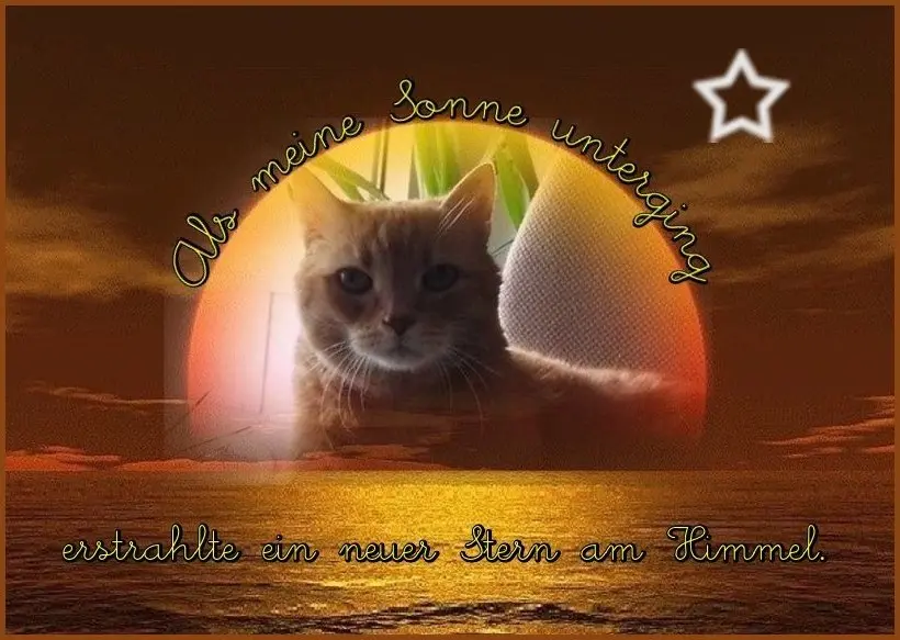 Condolence image of Deine Mama